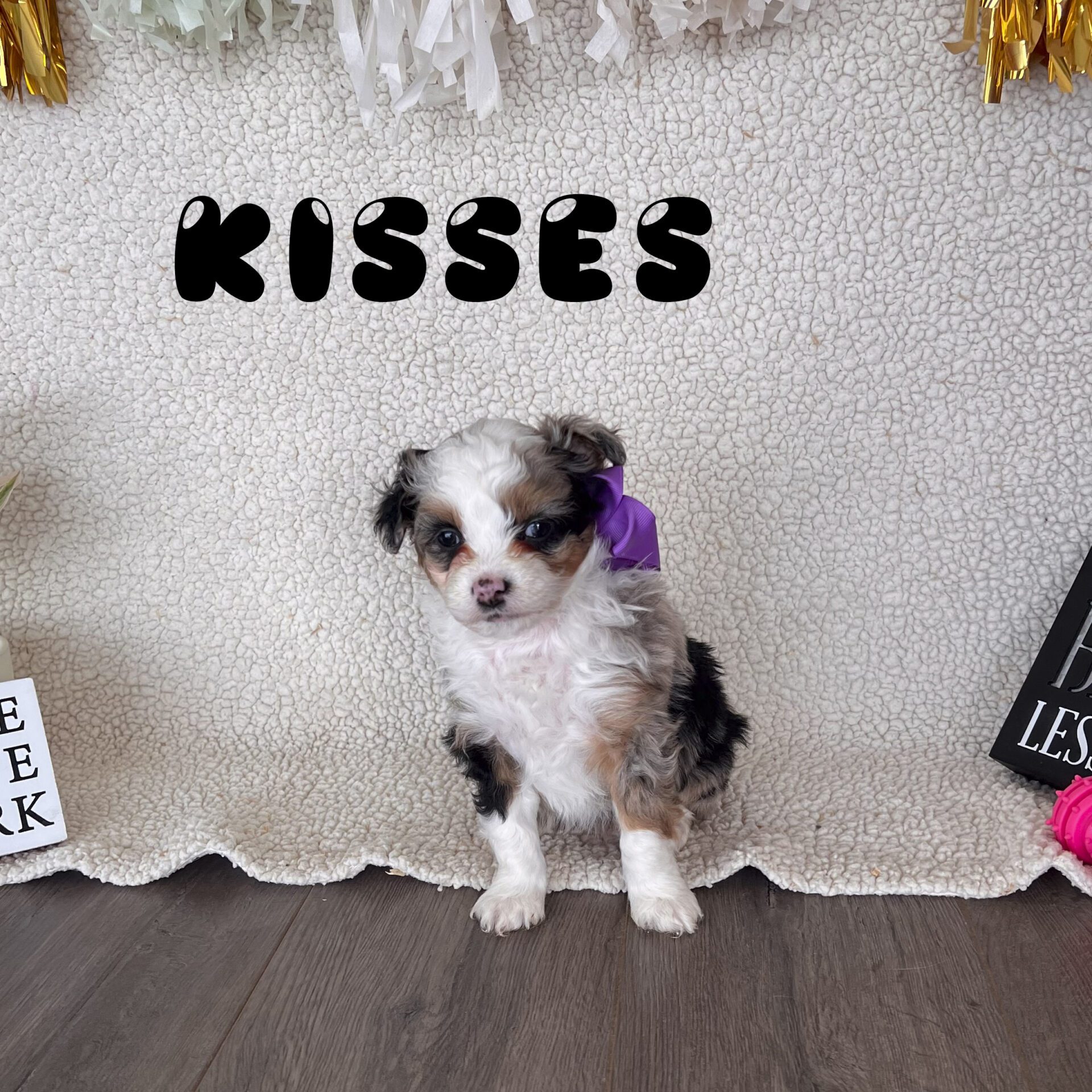 puppies_3 puppies_3
